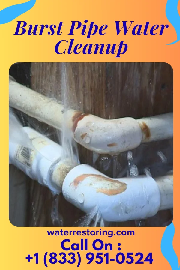 Burst Pipe Water Cleanup in Pitman, NJ