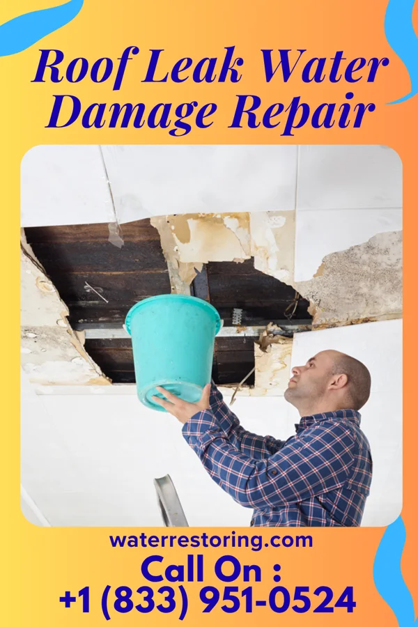 Roof Leak Water Damage Repair in Pitman, NJ