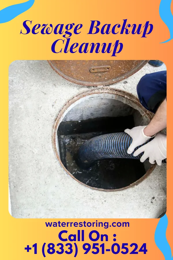 Sewage Backup Cleanup in Pitman, NJ