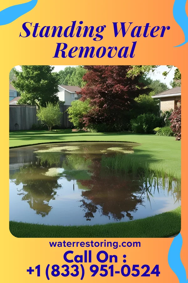 Standing Water Removal in Pitman, NJ